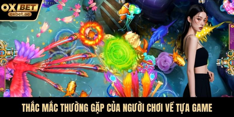 Thắc mắc thường gặp của người chơi về tựa game